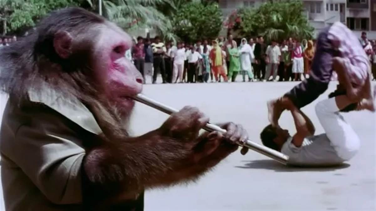 33 ਸਾਲ ਪਹਿਲਾਂ 'ਬਾਂਦਰ' ਨੇ ਸਨੀ ਦਿਓਲ ਨੂੰ ਚਟਾਈ ਸੀ ਧੂੜ, ਅਨਿਲ-ਸ਼੍ਰੀਦੇਵੀ ਨੂੰ ਵੀ ਚਖਾਇਆ ਸੀ ਮਜ਼ਾ; ਬਲਾਕਬਸਟਰ ਹੋਈ ਸੀ ਉਹ ਫਿਲਮ