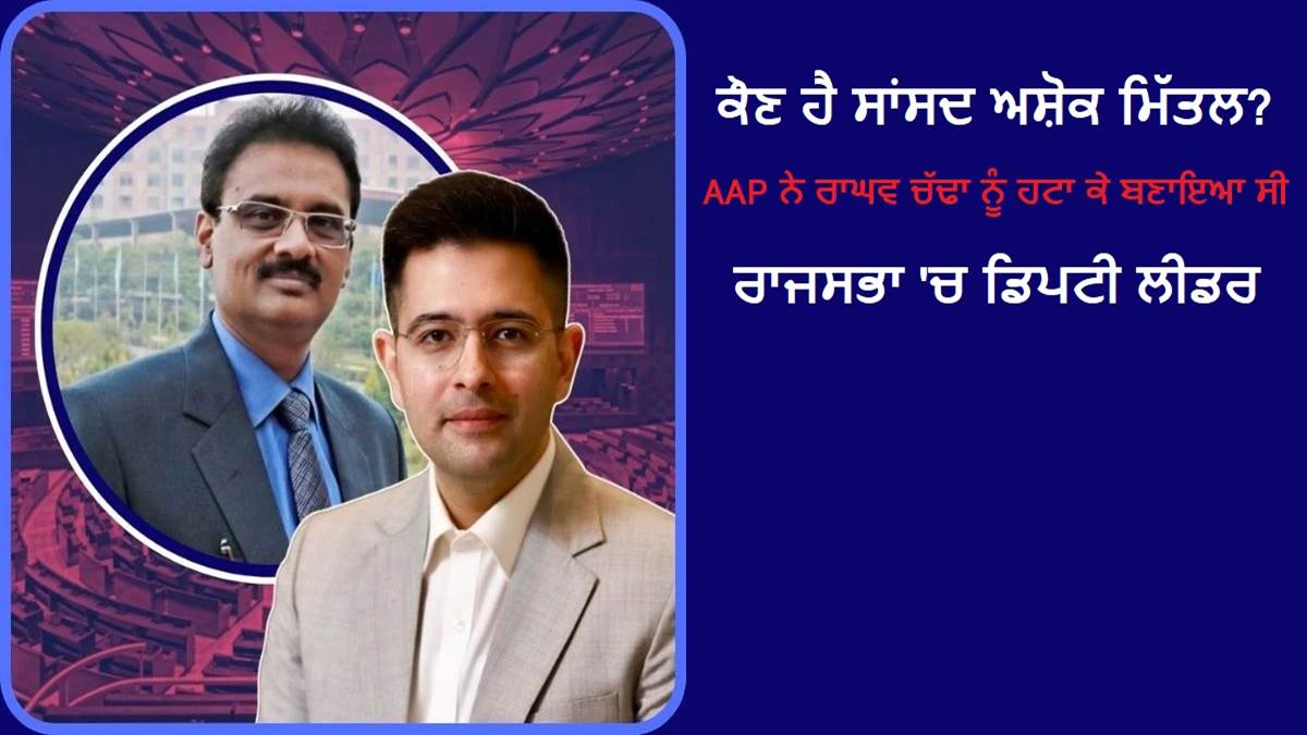 ਕੌਣ ਹਨ ਸਾਂਸਦ ਅਸ਼ੋਕ ਮਿੱਤਲ? AAP ਨੇ ਰਾਘਵ ਚੱਢਾ ਨੂੰ ਹਟਾ ਕੇ ਬਣਾਇਆ ਸੀ ਰਾਜਸਭਾ 'ਚ ਡਿਪਟੀ ਲੀਡਰ