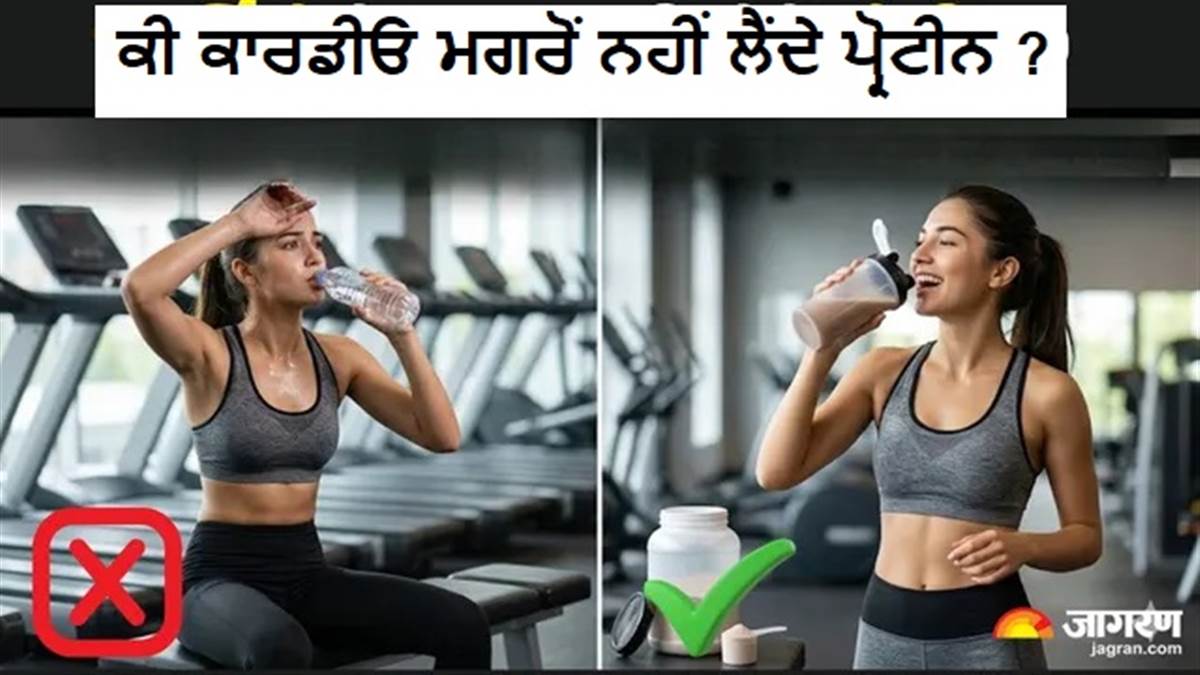 Weight Loss ਦਾ ਸਹੀ ਫਾਰਮੂਲਾ: ਕਾਰਡੀਓ ਮਗਰੋਂ ਪ੍ਰੋਟੀਨ ਲੈਣ ਦੇ ਫਾਇਦੇ, ਜੋ ਤੁਹਾਡੀ ਚਰਬੀ ਘਟਾਉਣ ਤੇ ਮਾਸਪੇਸ਼ੀਆਂ ਨੂੰ ਬਚਾਉਣ 'ਚ ਕਰਨਗੇ ਮਦਦ