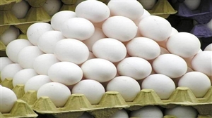 Egg Price Punjab : ਗਰਮੀਆਂ 'ਚ ਮਹਿੰਗਾਈ ਕਾਰਨ 'ਉਬਲੇ' ਆਂਡਿਆਂ 'ਚ ਹੋਇਆ 210 ਰੁਪਏ ਦਾ ਵਾਧਾ
