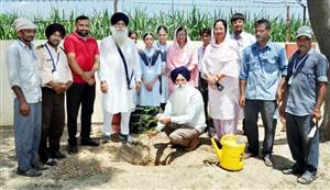 ਈਕੋ ਕਲੱਬ ਨੇ ਵਣ ਮਹਾਂਉਤਸਵ ਮਨਾਇਆ