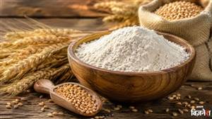 Business Idea: 2.5 ਲੱਖ ਰੁਪਏ 'ਚ ਸ਼ੁਰੂ ਕਰੋ ਆਲ-ਸੀਜ਼ਨ ਬਿਜ਼ਨੈੱਸ, ਹਰ ਮਹੀਨੇ ਹੋਵੇਗੀ ਤਗੜੀ ਕਮਾਈ; ਜਾਣੋ ਪੂਰਾ ਪਲਾਨ