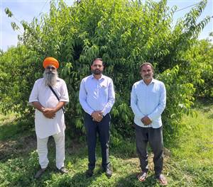 ਫਲਦਾਰ ਬੂਟਿਆਂ ਦੀ ਖ਼ਰੀਦ ਸਿਰਫ਼ ਸਰਕਾਰੀ ਜਾਂ ਰਜਿਸਟਰਡ ਨਰਸਰੀਆਂ ਤੋਂ ਹੀ ਕਰੋ : ਡਾ. ਰਾਜੇਸ਼ ਕੁਮਾਰ
