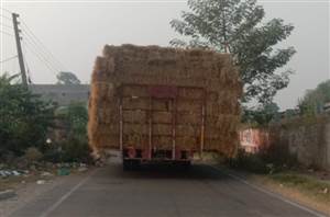 ਪਰਾਲੀ ਨਾਲ ਭਰੀ ਟਰਾਲੀ ਬਣੀ ਜਾਨ ਦਾ ਖੌਅ
