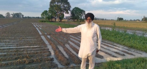 ਸਾਨੂੰ ਸਰਕਾਰ ਤੋਂ ਕੋਈ ਉਮੀਦ ਨਹੀਂ : ਕਿਸਾਨ