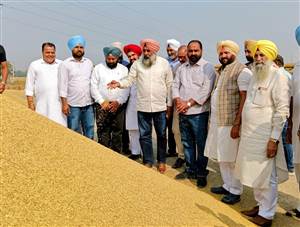 ਪੰਜਾਬ ਨੂੰ ਲੁੱਟਣ ’ਚ ਲੱਗੇ ਦਿੱਲੀ ਦੇ ਲੁਟੇਰੇ : ਪਰਗਟ ਸਿੰਘ