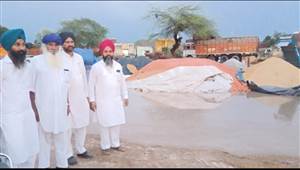 ਭਾਰੀ ਮੀਂਹ ਤੇ ਗੜ੍ਹੇਮਾਰੀ ਕਾਰਨ ਦਾਣਾ ਮੰਡੀ ਸੁਰਸਿੰਘ ’ਚ ਭਰਿਆ ਪਾਣੀ