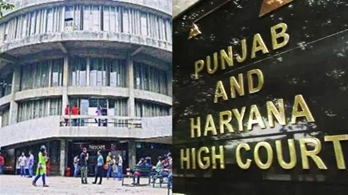 ਰਿਟਾਇਰਮੈਂਟ 'ਤੇ ਮਿਲੇਗੀ ਵੱਡੀ ਰਾਹਤ, 300 ਦਿਨਾਂ ਦੀ ਛੁੱਟੀਆਂ ਬਦਲੇ ਪੈਸਾ ਮਿਲਣ ਦਾ ਰਸਤਾ ਸਾਫ਼; ਹਾਈ ਕੋਰਟ ਨੇ ਪੀਯੂ ਨਾਲ ਸਬੰਧਤ ਕਾਲਜਾਂ ਨੂੰ ਦਿੱਤੇ ਹੁਕਮ