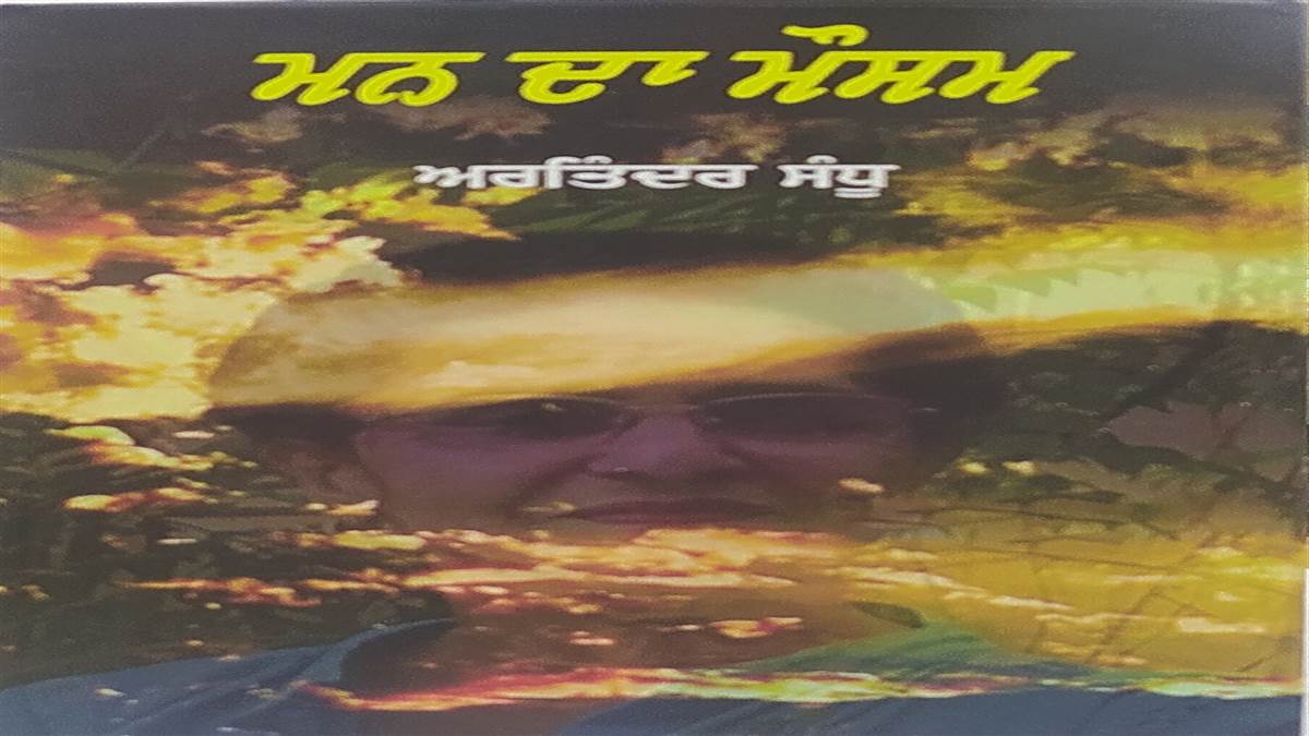 qualitative scope of Punjabi poetry