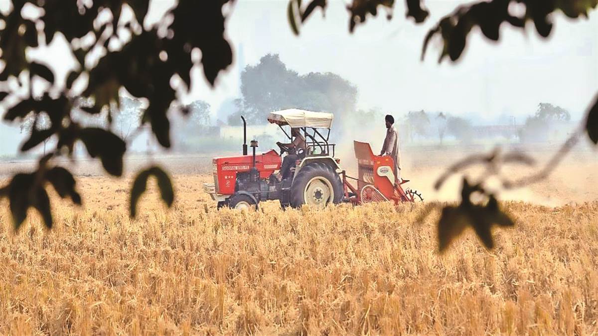 ਖ਼ਤਰਨਾਕ ਹੈ ਰਸਾਇਣਾਂ ਵਾਲੀ ਖੇਤੀ