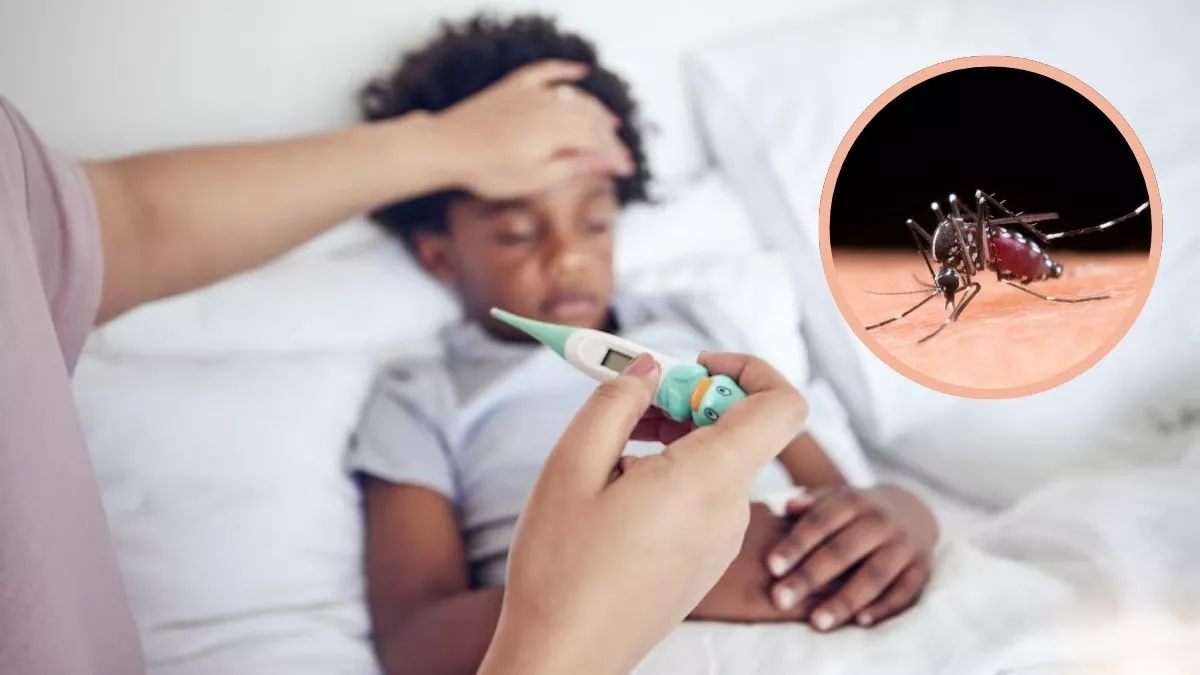 World Malaria Day: 5 ਤਰ੍ਹਾਂ ਦੇ ਹੋ ਸਕਦੇ ਹਨ ਮਲੇਰੀਆ ਬੁਖਾਰ, ਜਾਣੋ ਲੱਛਣ; ਮਹਿੰਗਾ ਪੈ ਸਕਦੈ ਨਜ਼ਰਅੰਦਾਜ਼ ਕਰਨਾ