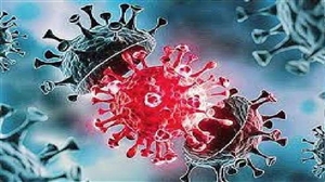 Coronavirus Updates: ਦੇਸ਼ 'ਚ ਫਿਰ ਤੋਂ ਵਧੇ ਕੋਰੋਨਾ ਦੇ ਮਾਮਲੇ, 24 ਘੰਟਿਆਂ 'ਚ 2124 ਨਵੇਂ ਮਰੀਜ਼, 17 ਲੋਕਾਂ ਦੀ ਮੌਤ