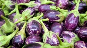 Brinjal Disadvantages: ਇਨ੍ਹਾਂ ਬੀਮਾਰੀਆਂ 'ਚ ਗਲਤੀ ਨਾਲ ਵੀ ਨਹੀਂ ਖਾਣਾ ਚਾਹੀਦਾ ਬੈਂਗਣ , ਜਾਣੋ ਕੀ ਕਹਿੰਦੇ ਹਨ ਮਾਹਿਰ