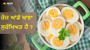 ਆਂਡਿਆਂ ਦਾ ਕਮਾਲ ! ਰੋਜ਼ ਖਾਣ ਨਾਲ ਵਾਲਾਂ ਤੋਂ ਲੈ ਕੇ ਦਿਮਾਗ ਤਕ, ਸਰੀਰ 'ਚ ਹੋਣਗੇ ਇਹ ਸ਼ਾਨਦਾਰ ਬਦਲਾਅ