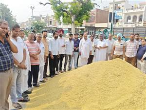 1509 ਬਾਸਮਤੀ ਝੋਨਾ ਹੋਇਆ 4300 ਤੋਂ ਪਾਰ, ਕਿਸਾਨ ਬਾਗੋਬਾਗ