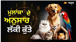 ਤੁਹਾਡੀ ਜਨਮ ਤਰੀਕ ਦੱਸੇਗੀ ਕਿਹੜਾ ਪਾਲਤੂ ਜਾਨਵਰ ਤੁਹਾਡੇ ਲਈ ਹੈ ਲੱਕੀ? ਜਾਣੋ ਅੰਕ ਜੋਤਿਸ਼ ਦਾ ਰਾਜ਼