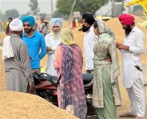 ਕਿਸਾਨਾਂ ਦੇ ਨੁਕਸਾਨ ਦਾ ਮੁਆਵਜ਼ਾ ਦੇਵੇ ਸਰਕਾਰ : ਖ਼ਾਲਸਾ