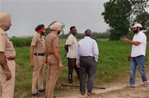 ਤਰਨਤਾਰਨ ਜ਼ਿਲ੍ਹੇ ’ਚ ਪਰਾਲੀ ਸਾੜਨ ਦੇ ਅੱਧਾ ਦਰਜਨ ਤੋਂ ਵੱਧ ਮਾਮਲੇ ਦਰਜ