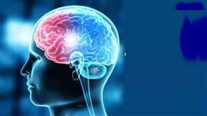 Health Alert: ਸਰਦੀਆਂ ਦਾ ਮੌਸਮ ਸਟ੍ਰੋਕ ਦੇ ਮਰੀਜ਼ਾਂ ਲਈ ਖ਼ਤਰੇ ਦੀ ਘੰਟੀ, ਇਨ੍ਹਾਂ ਲੱਛਣਾਂ ਨੂੰ ਪਛਾਣਨਾ ਹੈ ਜ਼ਰੂਰੀ