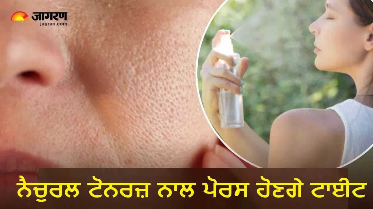 ਓਪਨ ਪੋਰਸ ਨੇ ਖੋਹ ਲਈ ਹੈ ਚਿਹਰੇ ਦੀ ਖੂਬਸੂਰਤੀ ? ਅੱਜ ਹੀ ਟ੍ਰਾਈ ਕਰੋ 5 'ਨੈਚੁਰਲ' ਟੋਨਰ, ਸ਼ੀਸ਼ੇ ਵਾਂਗ ਚਮਕੇਗੀ ਸਕਿਨ