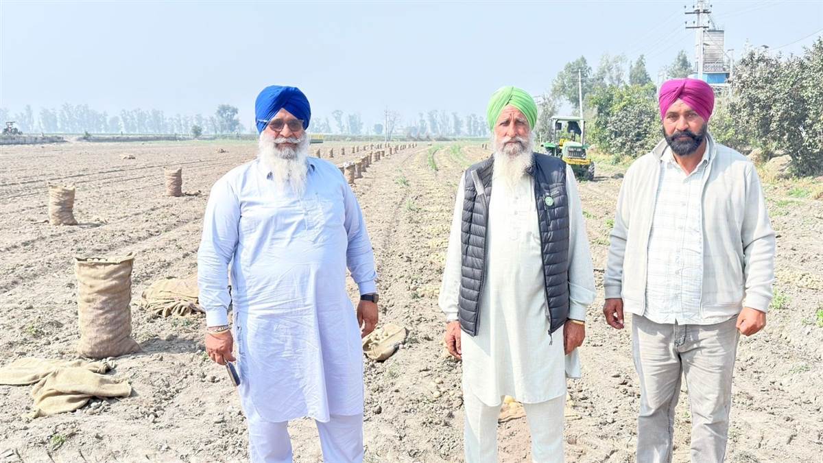 ਭਾਅ ਮੰਦਾ ਹੋਣ ਕਾਰਨ ਆਲੂ ਉਤਪਾਦਕ ਡਾਢੇ ਪਰੇਸ਼ਾਨ