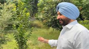 CJP ਵਾਂਗ ਹੁਣ ਬਿੱਟੂ ਵੀ ਕਰ ਰਹੇ ਪੰਜਾਬ ਦੇ ਸਰਕਾਰੀ ਸਕੂਲਾਂ ਦਾ ਦੌਰਾ, AAP ਦੇ 'ਸਿੱਖਿਆ ਕ੍ਰਾਂਤੀ' ਦੇ ਦਾਅਵਿਆਂ ਦੀ ਕੱਢੀ ਫੂਕ