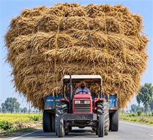ਓਵਰਲੋਡ ਪਰਾਲੀ ਦੀਆਂ ਟਰਾਲੀਆਂ ਲੋਕਾਂ ਲਈ ਬਣੀਆਂ ਸਿਰਦਰਦੀ