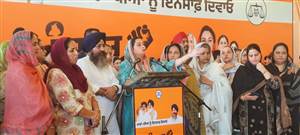'ਜਿਸ ਰਾਜ ਦਾ ਮੁੱਖ ਮੰਤਰੀ ਖੁਦ ਨਸ਼ੇੜੀ ਹੋਵੇ, ਉਸ ਤੋਂ...', ਬੀਬੀ ਬਾਦਲ ਨੇ ਨਸ਼ਿਆਂ ਦੇ ਮੁੱਦੇ 'ਤੇ ਘੇਰੀ ਸਰਕਾਰ