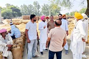 ਚੇਅਰਮੈਨ ਨੇ ਝੋਨੇ ਦੇ ਖ਼ਰੀਦ ਪ੍ਰਬੰਧਾਂ ਦਾ ਲਿਆ ਜਾਇਜ਼ਾ
