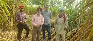 ਕੇਨ ਕਮਿਸ਼ਨਰ ਨੇ ਗੰਨੇ ਦੀ ਫਸਲ ਦਾ ਲਿਆ ਜਾਇਜ਼ਾ