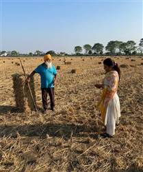 ਪਿੰਡ ਔਜਲਾ ਵਿਖੇ ਬੇਲਰ ਨਾਲ ਬਣਾਈਆਂ ਪਰਾਲੀ ਦੀਆਂ ਗੱਠਾਂ