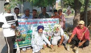 ਜਨਮ ਦਿਨ ਮੌਕੇ ਵੱਖ-ਵੱਖ ਕਿਸਮ ਦੇ ਬੂਟੇ ਲਾਏ