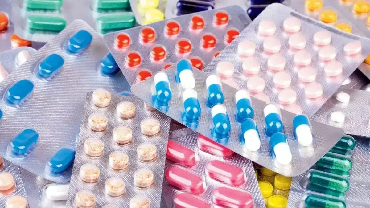 ਉਤਰਾਖੰਡ ਤੋਂ ਪੰਜਾਬ ਤੱਕ ਗੈਰ-ਕਾਨੂੰਨੀ ਡਰੱਗ ਨੈੱਟਵਰਕ, ACB ਦੀ ਹਿਰਾਸਤ ਵਿੱਚ ਚਾਰ ਮੁਲਜ਼ਮਾਂ ਨੇ ਖੋਲ੍ਹੇ ਕਈ ਰਾਜ਼