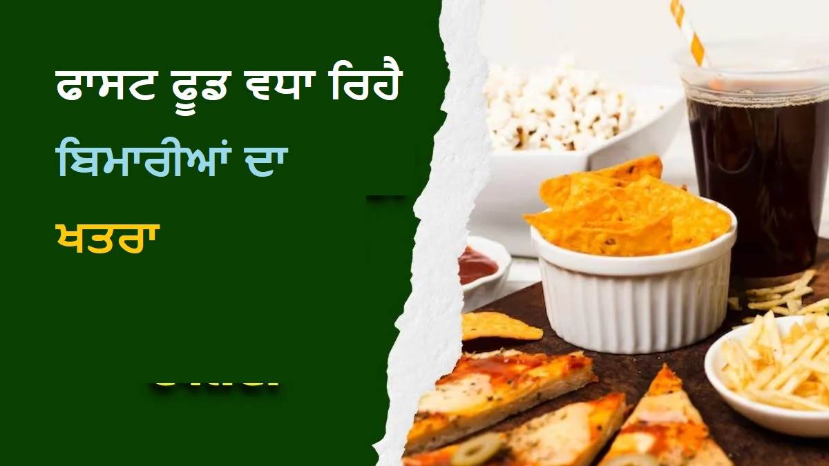 ਪ੍ਰੋਸੈਸਡ ਫੂਡ ਹੈ ਹਲਕਾ ਜ਼ਹਿਰ; ਚਿਪਸ ਤੇ ਬਿਸਕੁਟ ਕਿਵੇਂ ਵਧਾ ਰਹੇ ਹਨ ਮੋਟਾਪੇ ਸਮੇਤ 12 ਬਿਮਾਰੀਆਂ ਦਾ ਖ਼ਤਰਾ?