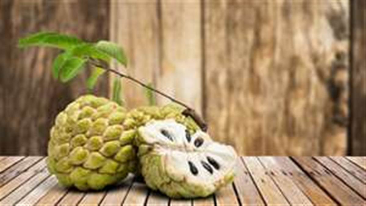 Rahhal Native Ramphal Benefits : ਦਿਲ ਤੋਂ ਲੈ ਕੇ ਜੋੜਾਂ ਦੇ ਦਰਦ ਤਕ ਤੋਂ ਰਾਹਤ ਦਿਵਾ ਸਕਦੈ ...