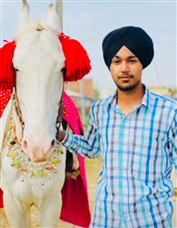 ਪੰਜਾਬ ’ਚ ਰੂਹ ਕੰਬਾਊ ਵਾਰਦਾਤ ! 12ਵੀਂ ਜਮਾਤ ਦੇ ਵਿਦਿਆਰਥੀਆਂ ਵੱਲੋਂ ਆਪਣੇ ਹੀ ਦੋਸਤ ਦਾ ਬੇਰਹਿਮੀ ਨਾਲ ਕਤਲ
