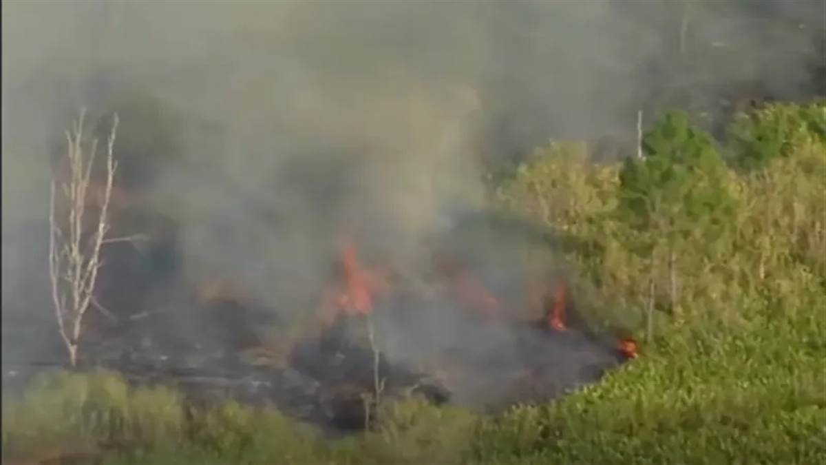 Plane Crash : ਉਡਾਣ ਭਰਦੇ ਹੀ ਅੱਗ ਦਾ ਗੋਲਾ ਬਣਿਆ ਜਹਾਜ਼, ਪਾਇਲਟ ਸਮੇਤ 2 ਦੀ ਮੌਤ