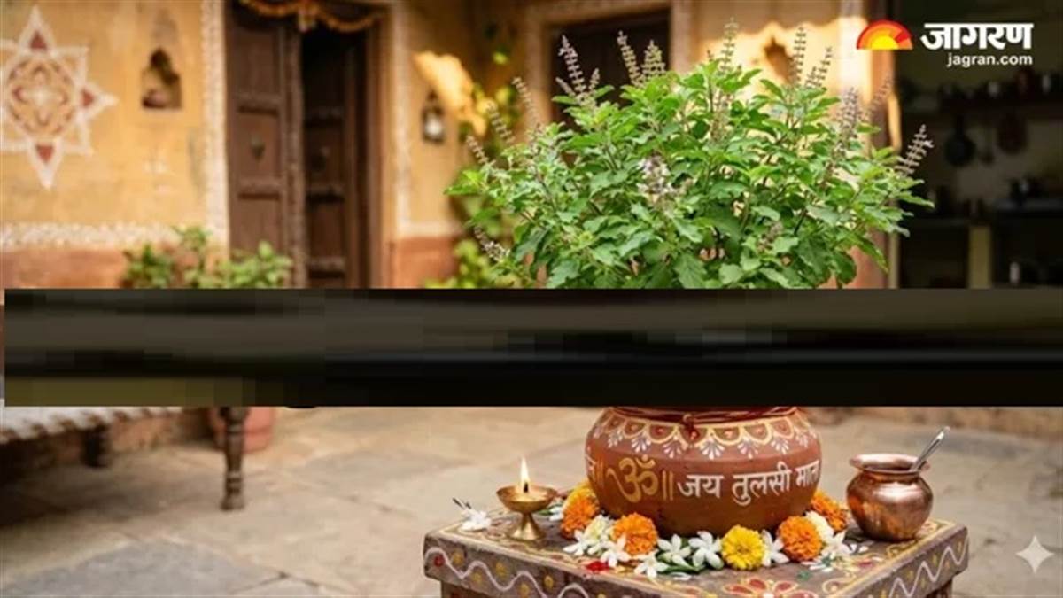 ਗ੍ਰਹਿਣ ਦੌਰਾਨ ਖਾਣੇ 'ਚ ਕਿਉਂ ਪਾਈ ਜਾਂਦੀ ਹੈ 'ਤੁਲਸੀ'? ਜਾਣੋ ਇਸ ਪਿੱਛੇ ਛੁਪਿਆ ਵਿਗਿਆਨਕ ਤੇ ਧਾਰਮਿਕ ਕਾਰਨ