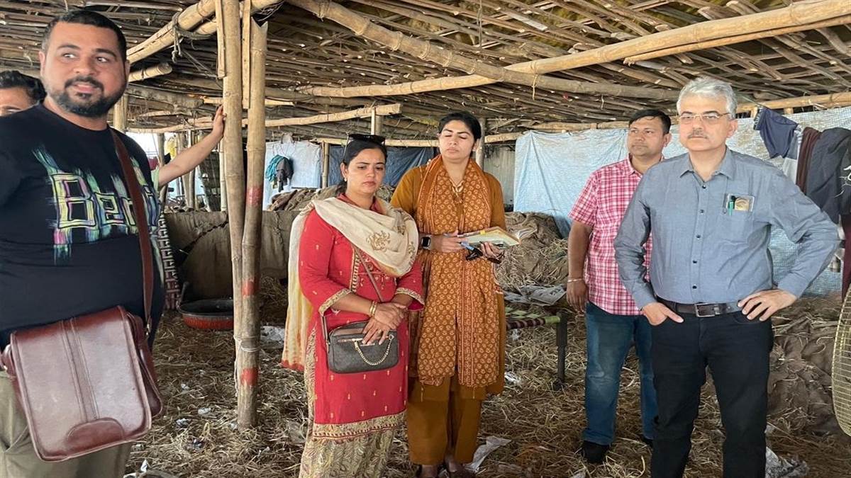 ਲੁਧਿਆਣਾ ਦੀ ਸਬਜ਼ੀ ਮੰਡੀ ’ਚ ਫੂਡ ਸੇਫਟੀ ਵਿਭਾਗ ਦੀ ਵੱਡੀ ਕਾਰਵਾਈ