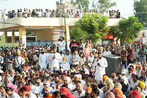 ਅਕਾਲੀ ਦਲ ਭਾਜਪਾ ਨਾਲ ਗੱਠਜੋੜ ਲਈ ਤਰਲੋਮੱਛੀ, ਪੰਜਾਬ ਕਦੇ ਨਹੀਂ ਭੁੱਲੇਗਾ ਕਿਸਾਨਾਂ ਦੀ ਕੁਰਬਾਨੀ: ਭਗਵੰਤ ਮਾਨ