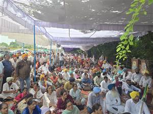 ਮੋਗਾ ’ਚ ਮੁਲਾਜ਼ਮਾਂ ਦਾ ਗੁੱਸਾ ਫੁੱਟਿਆ, ਕੇਜਰੀਵਾਲ, ਮਾਨ ਤੇ ਸੌਰਭ ਦਾਸ ਦੇ ਪੁਤਲੇ ਫੂਕ ਕੇ ਕੀਤੀ ਰੋਸ ਰੈਲੀ