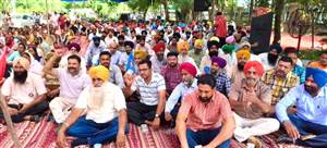 ਤਰਨਤਾਰਨ ਦੇ ਸਮੂਹ ਵਿਭਾਗਾਂ ਦੇ ਮੁਲਾਜ਼ਮਾਂ ਨੇ ਸਮੂਹਿਕ ਛੁੱਟੀ ਲੈ ਕੇ ਕੀਤੀ ਹੜਤਾਲ