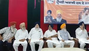 ਬੀਸੀ ਵਰਗ ਦੀਆਂ ਸਮੱਸਿਆਵਾਂ ਦੇ ਹੱਲ ਲਈ ਅਕਾਲੀ ਦਲ ਵਚਨਬੱਧ : ਗਾਬੜੀਆ