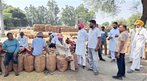 ਡਾ. ਲਛਮਣ ਵੱਲੋਂ ਮੰਡੀਆਂ ਦਾ ਦੌਰਾ, ਖ਼ਰੀਦ ਪ੍ਰਬੰਧਾਂ ਦਾ ਲਿਆ ਜਾਇਜ਼ਾ
