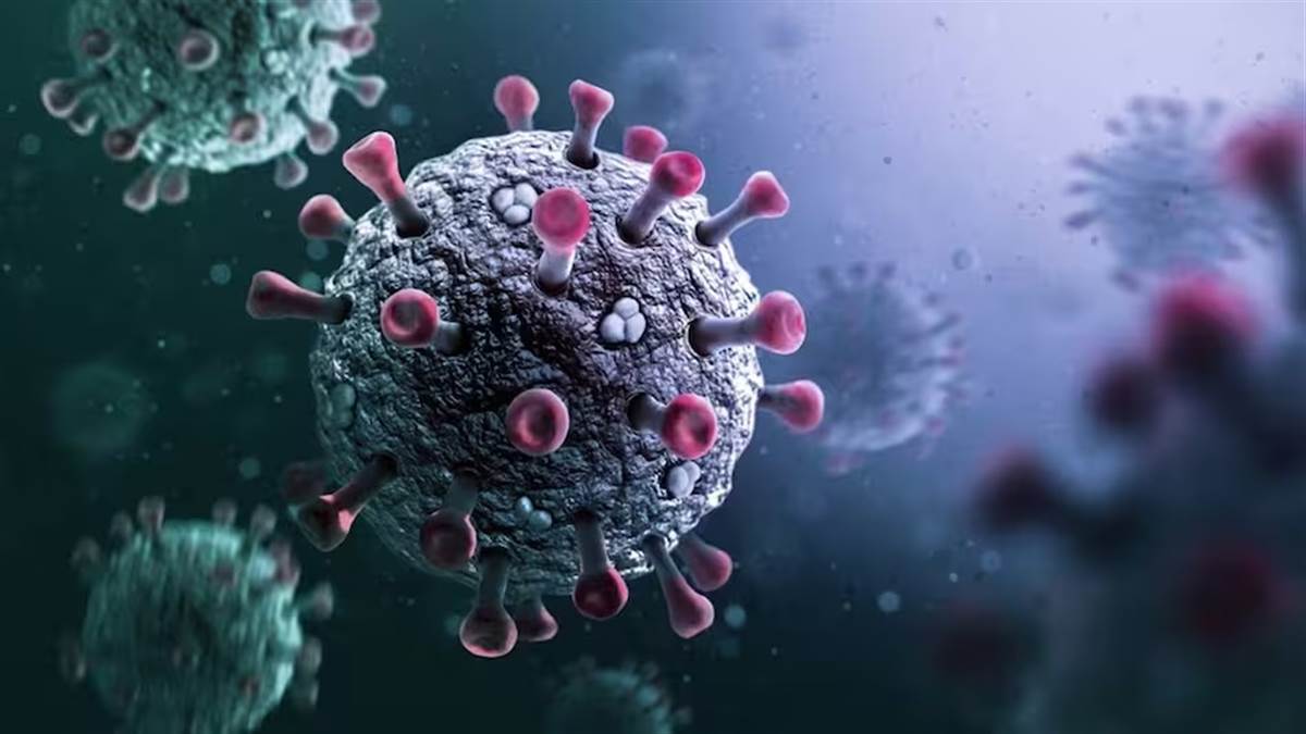 ਕੋਰੋਨਾ ਦਾ ਵਧਿਆ ਖੌਫ਼, ਚੰਡੀਗੜ੍ਹ 'ਚ ਕੋਰੋਨਾ ਨਾਲ ਪਹਿਲੀ ਮੌਤ; ਜਾਣੋ ਕਿਥੋਂ ਦਾ ਸੀ ਮਰੀਜ਼