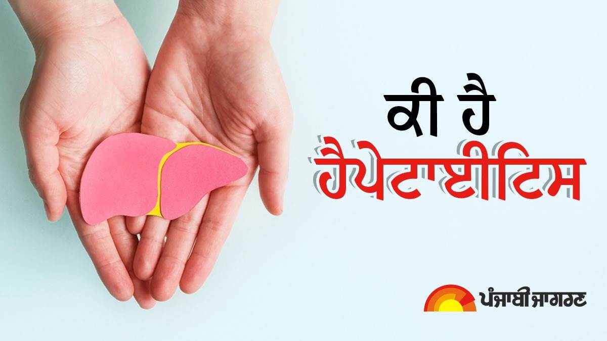 World Hepatitis Day 2023 : ਹੈਪੇਟਾਈਟਸ ਕੀ ਹੈ ? ਜਾਣੋ ਇਸ ਦੇ ਲੱਛਣਾਂ ਤੋਂ ਲੈ ਕੇ ਕਾਰਨ ਤਕ ਸਭ ਕੁਝ