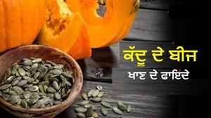 Pumpkin Seeds : ਕੱਦੂ ਦੇ ਬੀਜਾਂ ਨੂੰ ਇਨ੍ਹਾਂ ਪਰੇਸ਼ਾਨੀਆਂ ਨਾਲ ਪੀੜਤ ਲੋਕ ਕਰਨ ਡਾਈਟ 'ਚ ਸ਼ਾਮਲ, ਮਿਲੇਗਾ ਫਾਇਦਾ