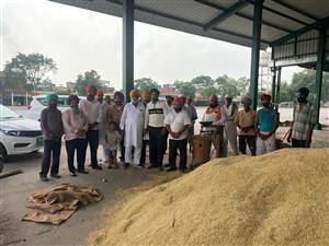 ਦਾਣਾ ਮੰਡੀ ਬਟਾਲਾ ਅਗੇਤੀ ਬਾਸਮਤੀ ਦੀ ਫਸਲ ਦੀ ਆਮਦ ਸ਼ੁਰੂ