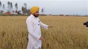 ਮਾਰਜਿਨ ਮਨੀ 2.5 ਤੋਂ ਵਧਾ ਕੇ 9 ਫ਼ੀਸਦੀ ਕਰਨ ਨਾਲ ਕਿਸਾਨਾਂ 'ਤੇ ਵਧੇਗਾ ਆਰਥਿਕ ਬੋਝ : ਚੰਨੀ