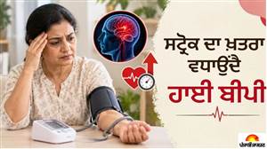 ਕੀ ਹਾਈ BP ਚੁੱਪਚਾਪ ਪਹੁੰਚਾ ਰਿਹਾ ਦਿਮਾਗ ਦੀਆਂ ਨਾੜੀਆਂ ਨੂੰ ਨੁਕਸਾਨ? ਜਾਣੋ ਸਟ੍ਰੋਕ ਦਾ ਖ਼ਤਰਾ ਘਟਾਉਣ ਦੇ ਤਰੀਕੇ